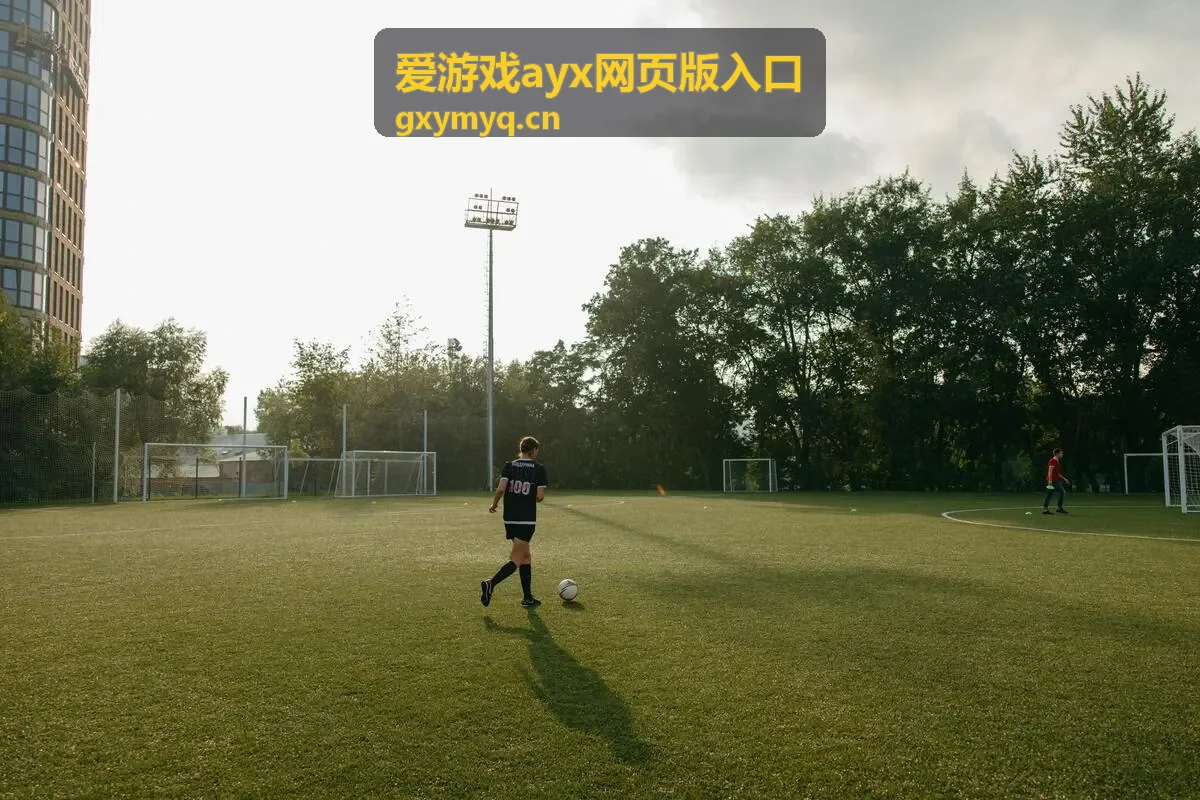 爱游戏ayx网页版入口登录验证码接收设置示意
